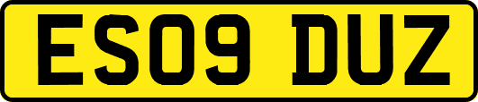 ES09DUZ