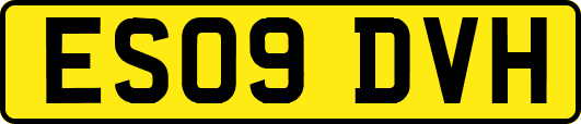 ES09DVH