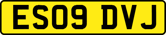 ES09DVJ