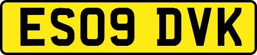 ES09DVK