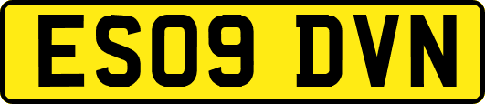 ES09DVN
