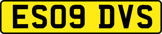 ES09DVS
