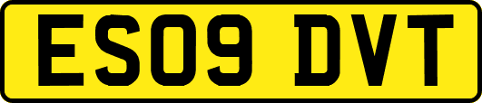 ES09DVT