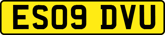 ES09DVU
