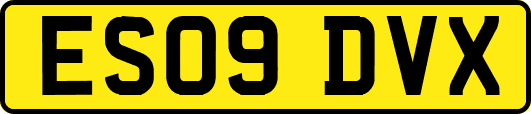 ES09DVX
