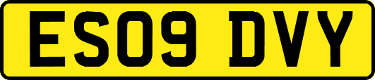 ES09DVY