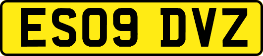 ES09DVZ