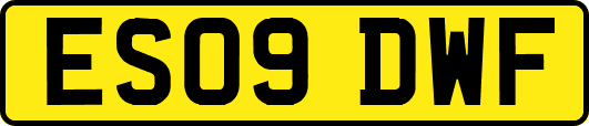 ES09DWF