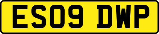 ES09DWP