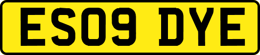 ES09DYE