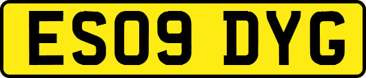 ES09DYG