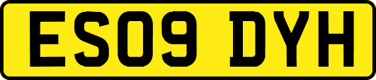 ES09DYH