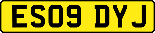 ES09DYJ
