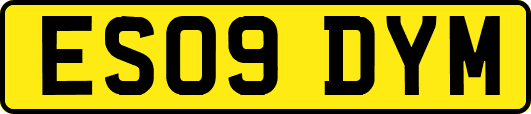 ES09DYM