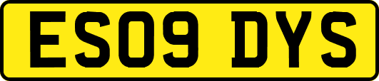 ES09DYS