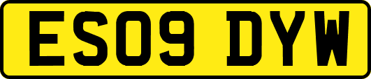 ES09DYW