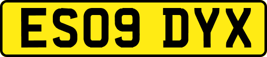 ES09DYX