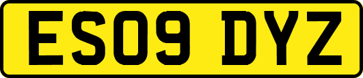 ES09DYZ
