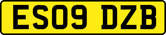 ES09DZB