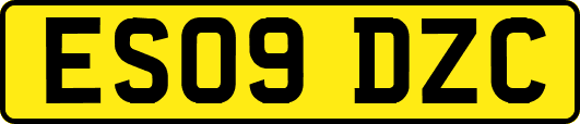 ES09DZC