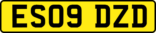 ES09DZD