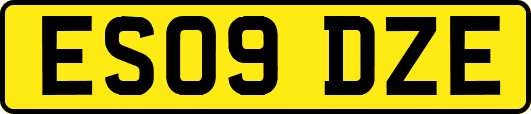 ES09DZE