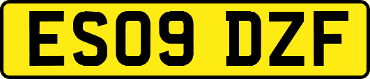 ES09DZF