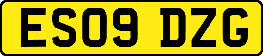 ES09DZG