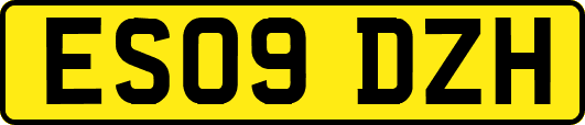 ES09DZH