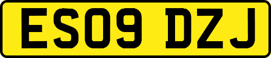 ES09DZJ
