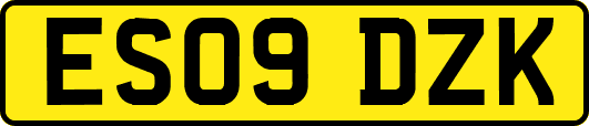 ES09DZK