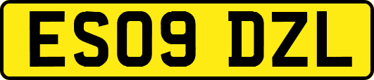 ES09DZL