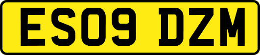 ES09DZM
