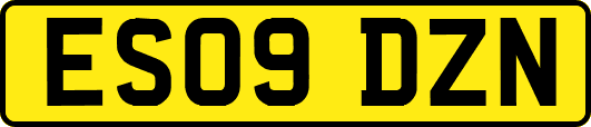 ES09DZN