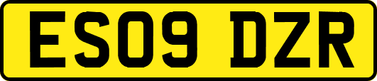 ES09DZR