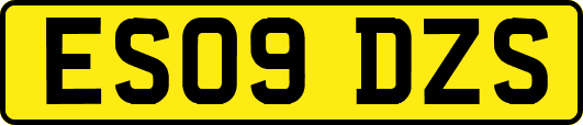 ES09DZS