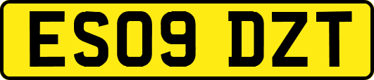ES09DZT