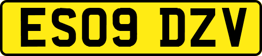 ES09DZV