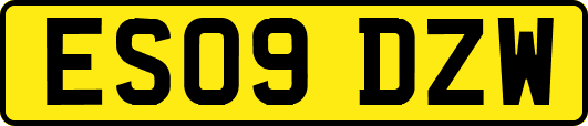 ES09DZW