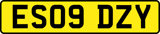ES09DZY
