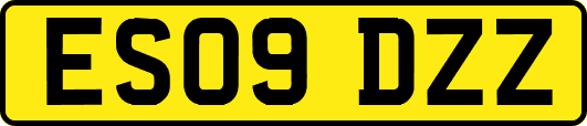 ES09DZZ