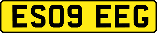 ES09EEG