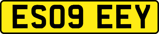 ES09EEY