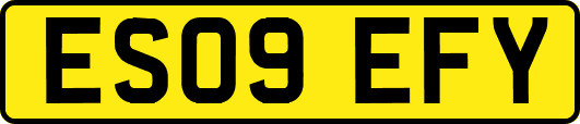 ES09EFY