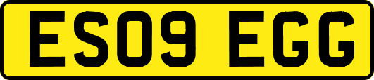ES09EGG