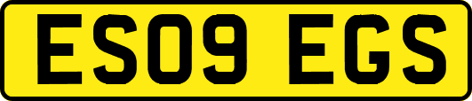 ES09EGS
