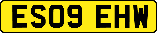 ES09EHW