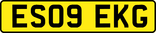 ES09EKG