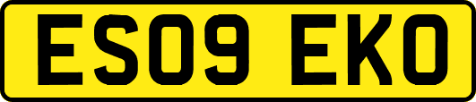 ES09EKO