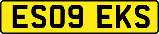 ES09EKS